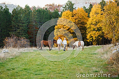 Couple walks on the lawn in the autumn forest, holding hands. Horses graze on the lawn. A woman holding a teddy bear Stock Photo