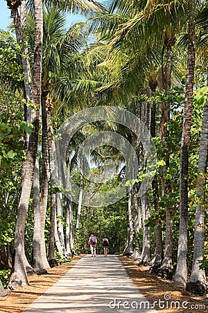 Couple walks a straight path between tall palms Stock Photo