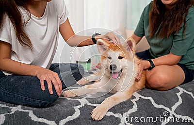 Couple women enjoy to play with dog at home together and sometimes they pat to fur of the dog. Concept of people love animal and Stock Photo