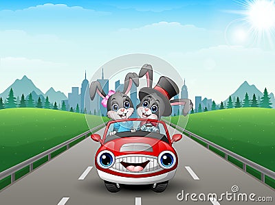 Couples rabbit cartoon driving a car on city background Vector Illustration