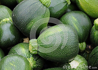 Courgette Stock Photo