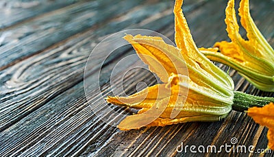 Courgette flowers, copyspace on a side Stock Photo