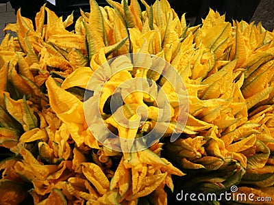 Courgette flowers Stock Photo