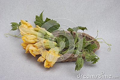 Basket Filled with Courgette Flowers Stock Photo