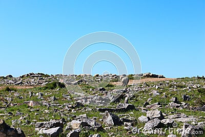 Courious Sheep in a mountain Stock Photo