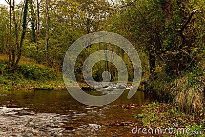 Course of the Pilona River in Asturias. Stock Photo