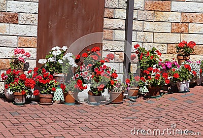 Courtyard of the house decorated with many geraniums Stock Photo