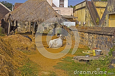 Courtyard Stock Photo