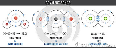 Covalent bonds including single, double, and triple bonds in Water, Carbondioxide Molecule and Nitrogen Molecule Vector Illustration