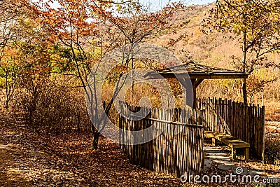 Covered park benches behind bamboo walls Stock Photo