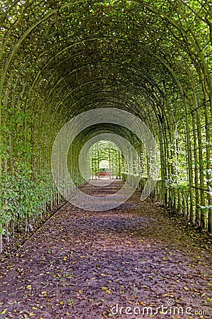 Covered Walkway - Alnwick Gardens Stock Photo