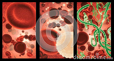 Covid, blood and cell structure of disease closeup in series for medical investigation or research. Virus, bacteria and Stock Photo