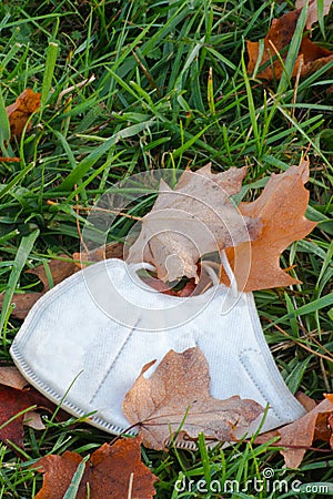 Covid Face Mask Amoung the Autumn Leaves Stock Photo