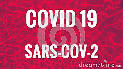 Covid SARS CoV-2 Header Stock Photo