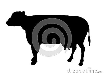 Cow Cartoon Illustration