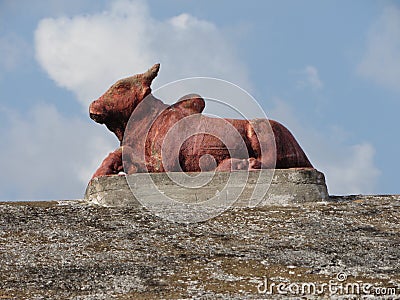 cow as a sacred animal in India Stock Photo