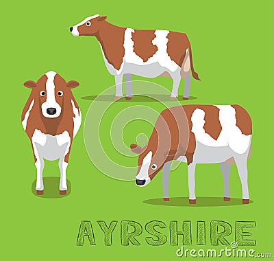 Cow Ayrshire Galloway Cartoon Vector Illustration Vector Illustration