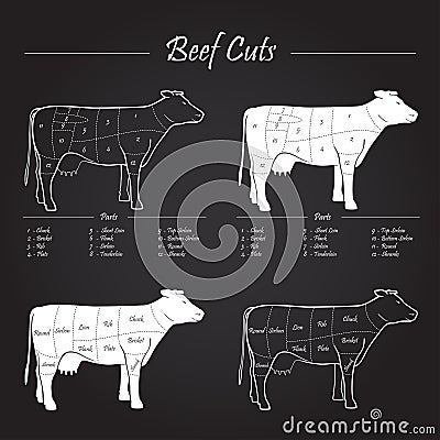 Cow beef meat cuts scheme on blackboard Vector Illustration