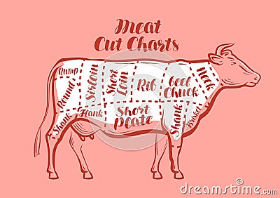 Cow, beef, meat cuts. Scheme or diagrams for butcher shop. Vector illustration Vector Illustration