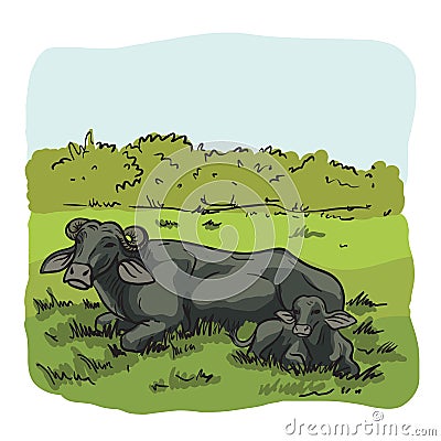 cow breeding. animal husbandry. livestock. vector sketch on a white background Vector Illustration