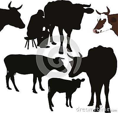 Cow a calf animals Vector Illustration