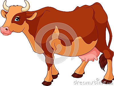 Cow Vector Illustration