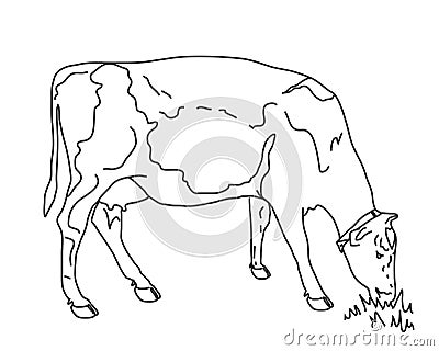 The cow chews the grass. Silhouette. Vector illustration. Vector Illustration