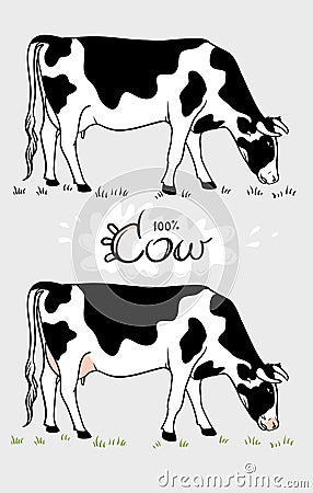 Cow. Cow eating grass. Cow isolated, set of elements Vector Illustration