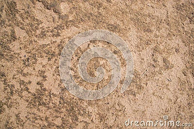 Cow Dung brown plaster of soil abstract Texture Background Countryside of Bangladesh Stock Photo