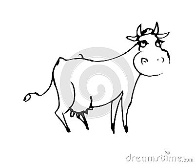 Cow funny. Cheerful wild animal. A comical character. Outline sketch. Hand drawing is isolated on a white background Vector Illustration