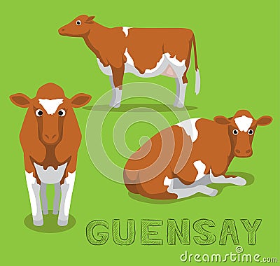 Cow Guernsay Cartoon Vector Illustration Vector Illustration