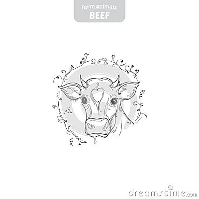 Cow hand-drawn vector illustration. Vector Illustration