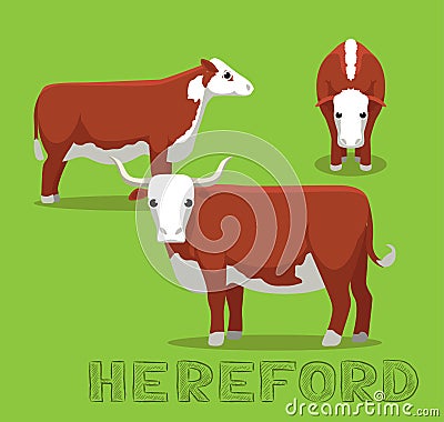 Cow Hereford Cartoon Vector Illustration Vector Illustration