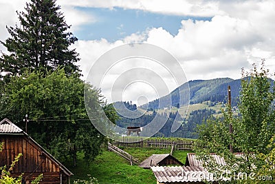 A cow on a hill in a mountain village, Verkhovyna, Ukraine Stock Photo