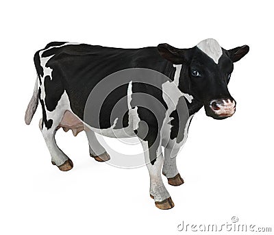 Cow Isolated Stock Photo