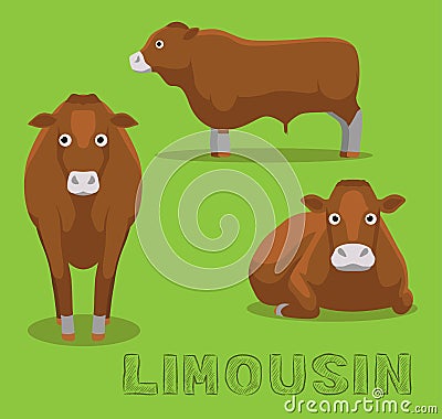 Cow Limousin Cartoon Vector Illustration Vector Illustration