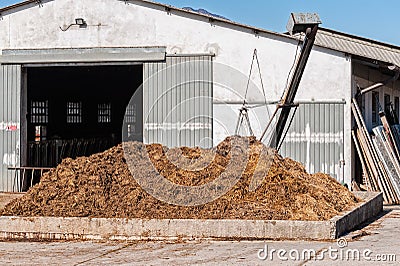 Cow manure that will be used to fertilize. Stock Photo