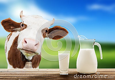 Cow and milk Stock Photo