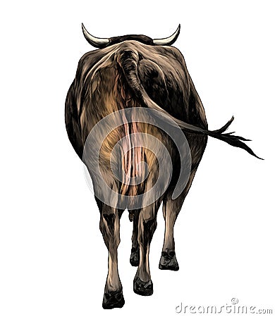 The cow is a rear view of the a little and sticking his head and horns Vector Illustration