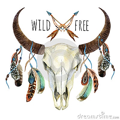 Cow skull. Animal skull with feathers Cartoon Illustration