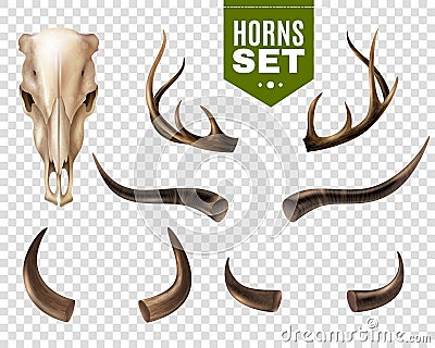 Cow Skull And Horns Set Vector Illustration