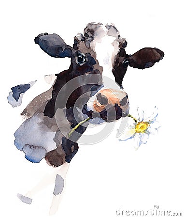 Cow Watercolor Farm Animal Illustration Hand Painted Cartoon Illustration