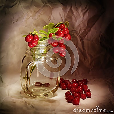 Cowberry Stock Photo