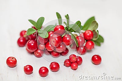 Cowberry with green leaves on white wooden board Stock Photo