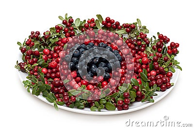 Cowberry and whortleberry on plate Stock Photo