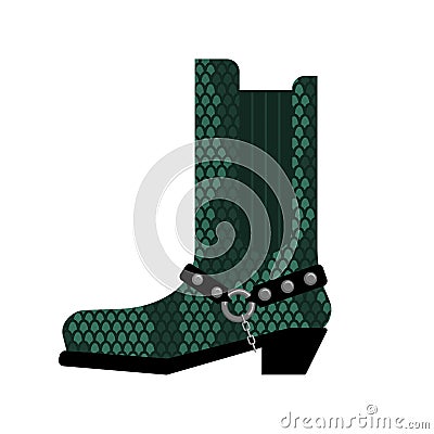 Cowboy boots made python leather. Australia shoes made crocodile Vector Illustration