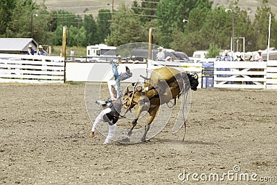 Cowboy bucked off his horse Editorial Stock Photo