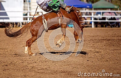 Cowboy Rides Bucking Rodeo Horse Stock Photo