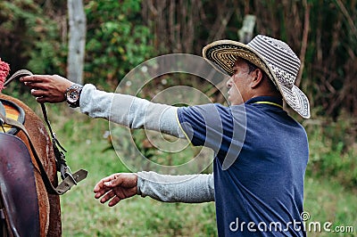 Cowboy getting ready to ride a young filly for the first time Stock Photo