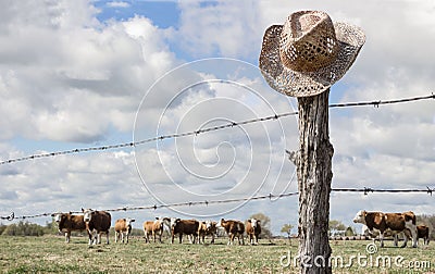 Cowboy hat hanging on fence post while cattle graze in background. Stock Photo